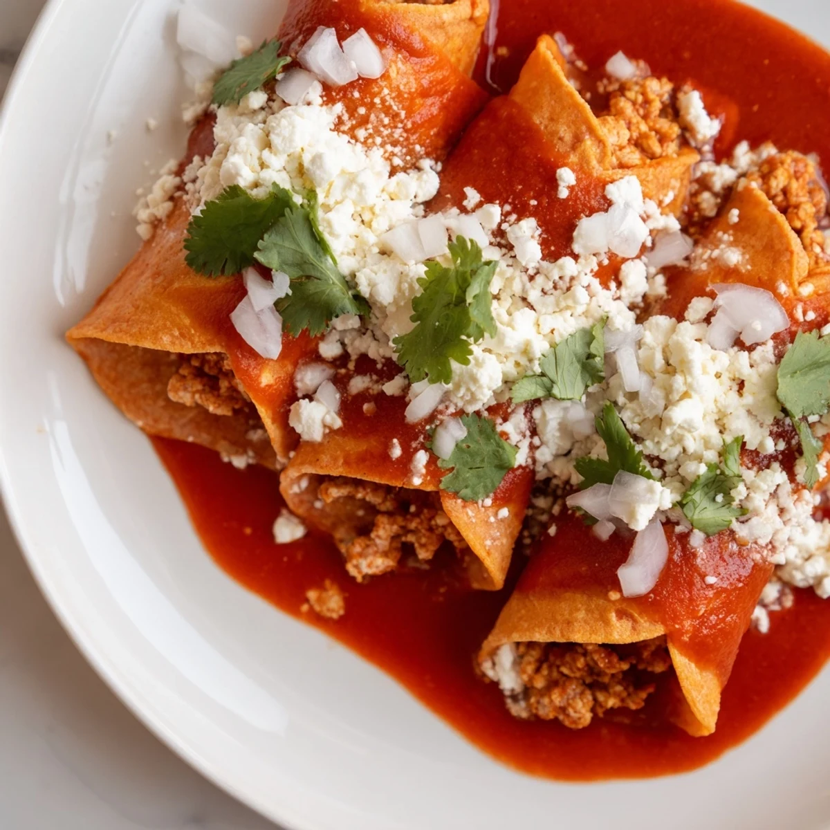 Entomatadas draped in rich red tomato sauce topped with crumbled queso fresco and fresh cilantro